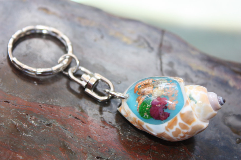 Keychain Seashell w/ Inlay Sea Life #3 - Aloha Keychain Keychain Seashell w/ Inlay Sea Life #3 - Aloha Keychain